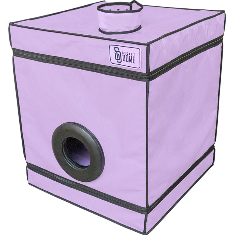 SECRET DOME Kink Club cabine BDSM violette