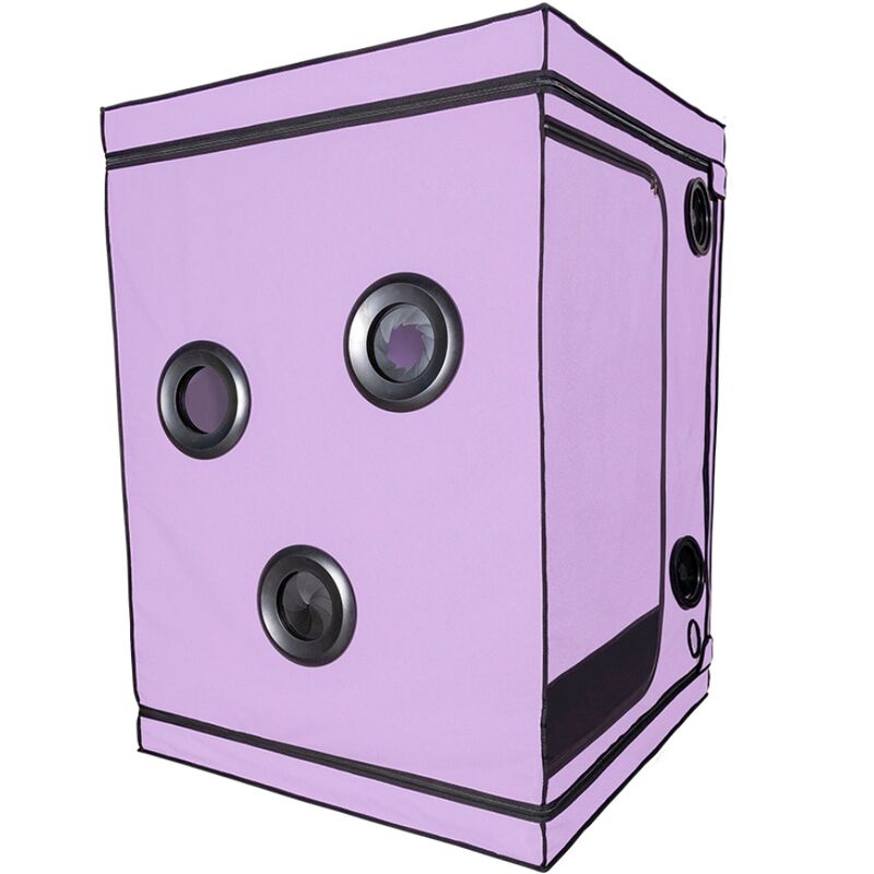 Cabine BDSM SECRET DOME Kink Club Scandale Purple
