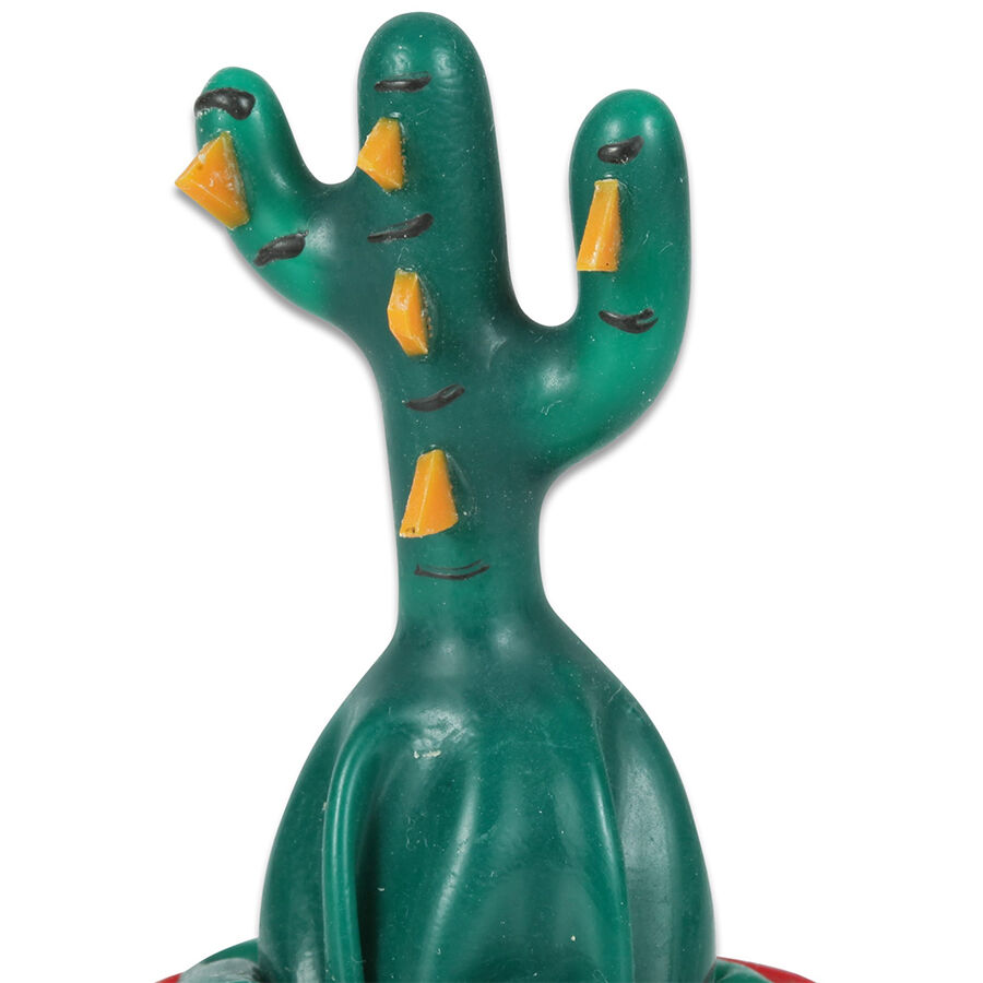 CONDOMERIE Cactus, cadeau érotique amusant