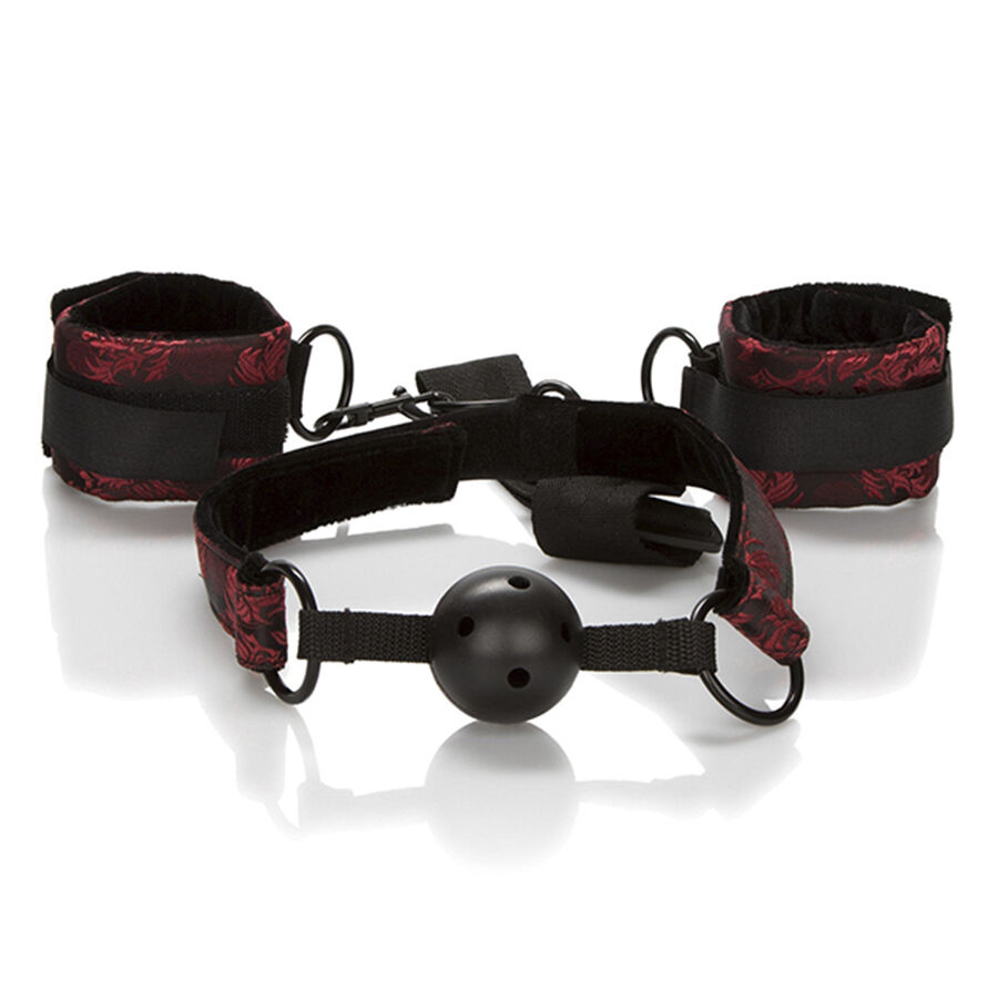 Gag et menottes CalExotics Scandal