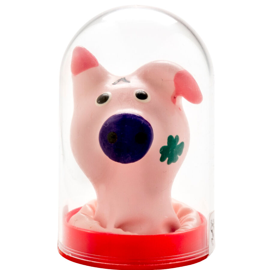 CONDOMERIE Pig Head, un cadeau érotique amusant