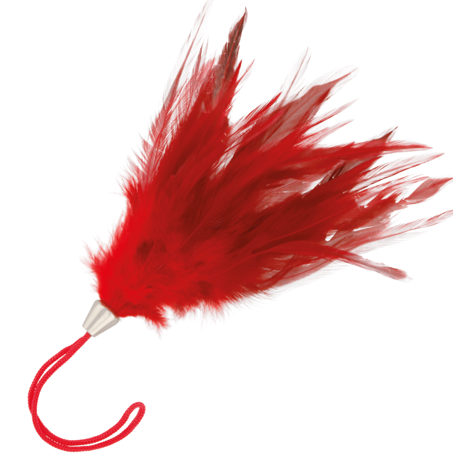 Boa à plumes rouge DARKNESS SENSATIONS
