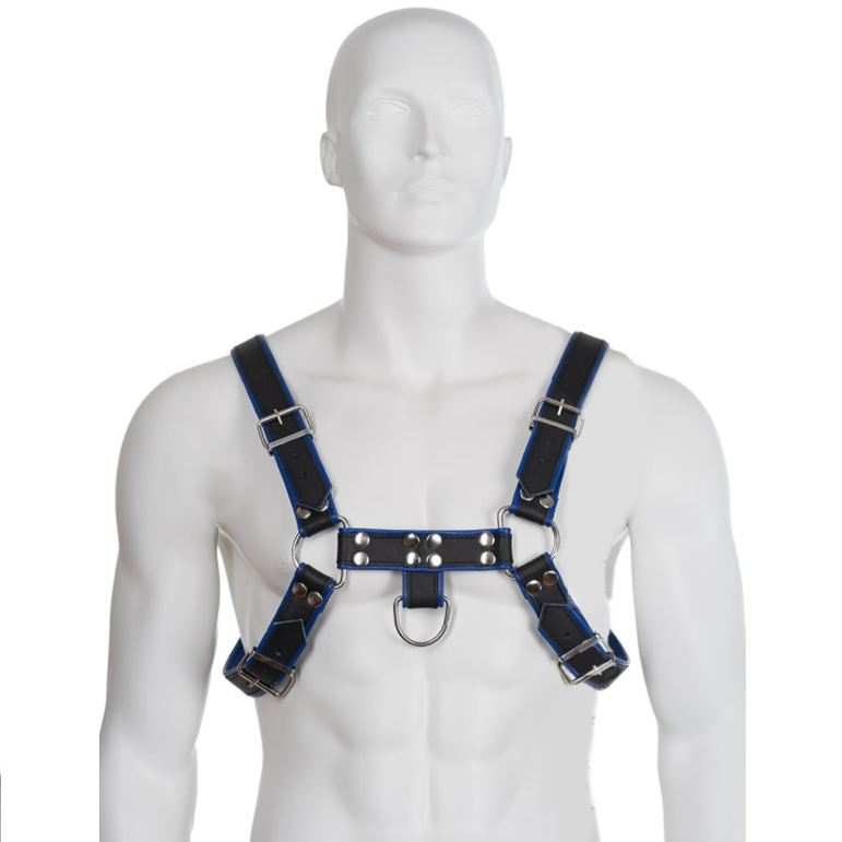 Harnais Bulldog pour homme en cuir bleu et noir